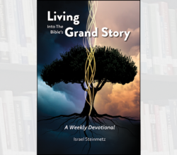 Living Into The Bibles Grand Story