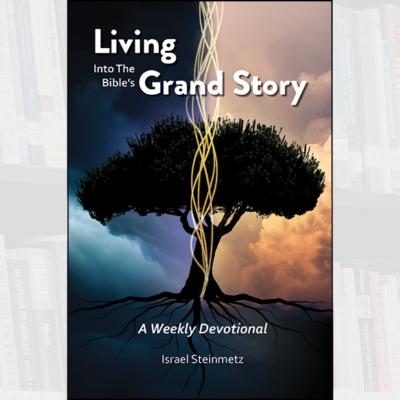 Living Into The Bibles Grand Story